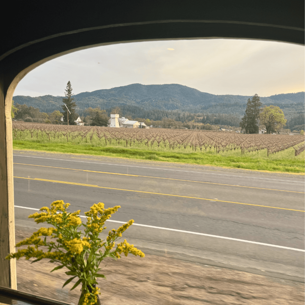 All Aboard: Embarking On A Corporate Retreat To Napa, California